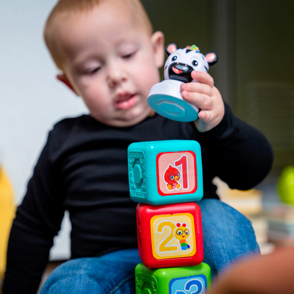 Baby Einstein magnētiskie klucīši, 6 gab. cena un informācija | Rotaļlietas zīdaiņiem | 220.lv