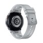 Samsung Galaxy Watch6 Classic SM-R950 Silver cena un informācija | Viedpulksteņi (smartwatch) | 220.lv