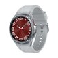 Samsung Galaxy Watch6 Classic 43mm BT Silver SM-R950NZSAEUE цена и информация | Viedpulksteņi (smartwatch) | 220.lv