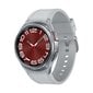 Samsung Galaxy Watch6 Classic 43mm LTE Silver SM-R955FZSAEUE цена и информация | Viedpulksteņi (smartwatch) | 220.lv