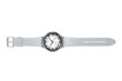 Samsung Galaxy Watch6 Classic SM-R965F Silver цена и информация | Viedpulksteņi (smartwatch) | 220.lv