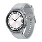 Samsung Galaxy Watch6 Classic 47mm LTE Silver SM-R965FZSAEUE цена и информация | Viedpulksteņi (smartwatch) | 220.lv