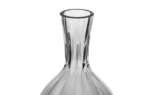 Stikla vāze 34 cm Allium Collection cena un informācija | Vāzes | 220.lv