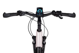 Elektriskais velosipēds Ecobike LX 300, 28", balts cena un informācija | Elektrovelosipēdi | 220.lv