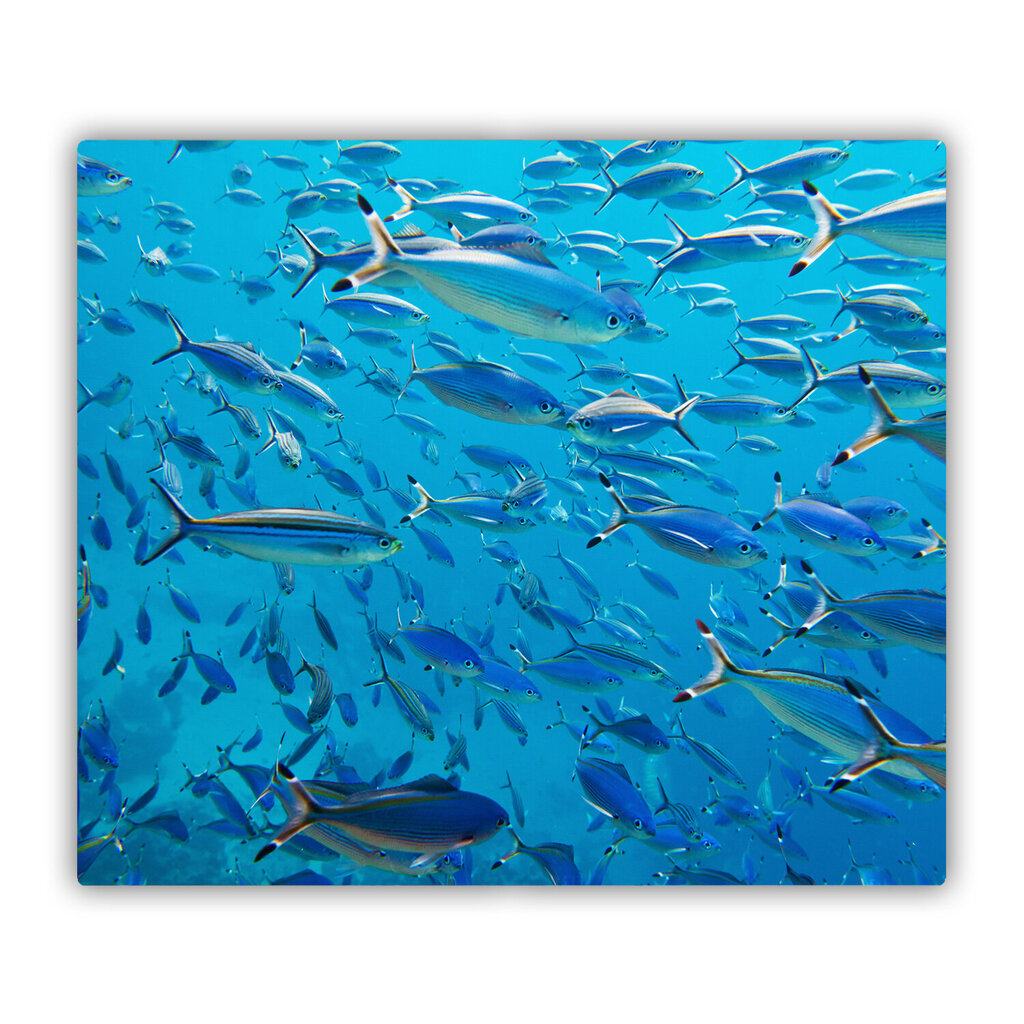 Tulup Griešanas dēlis, Koraļļu zivs, 60x52 cm цена и информация | Griešanas dēlīši | 220.lv