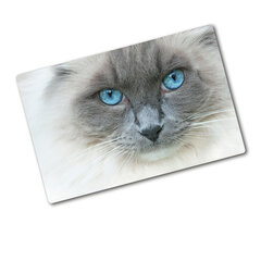 Tulup Griešanas dēlis, Kaķu zilās acis, 80x52 cm cena un informācija | Griešanas dēlīši | 220.lv
