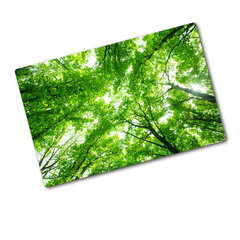 Tulup Griešanas dēlis, Zaļais mežs, 80x52 cm cena un informācija | Griešanas dēlīši | 220.lv
