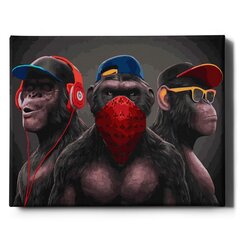 Картина по номерам "Три обезьяны" Oh Art! 40x50 см цена и информация | Живопись по номерам | 220.lv