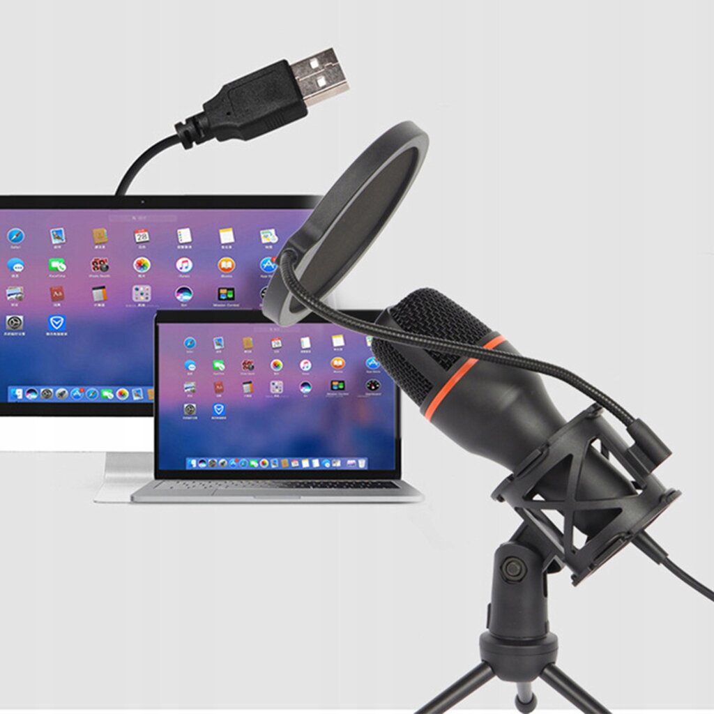 Mikrofons ar filtru un USB kabeli, audio ierakstīšanai, RGB apgaismojumu цена и информация | Mikrofoni | 220.lv