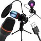 Mikrofons ar filtru un USB kabeli, audio ierakstīšanai, RGB apgaismojumu цена и информация | Mikrofoni | 220.lv