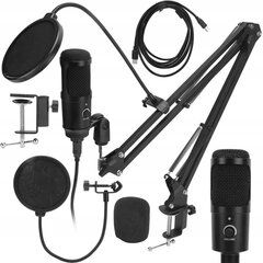 Mikrofons ar pop filtru un USB kabeli cena un informācija | Mikrofoni | 220.lv