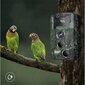 Meža novērošanas kamera Full HD 36MPx cena un informācija | Novērošanas kameras | 220.lv