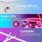 LED lente Smart RGB 10m WiFi+Bluetooth, IP65 cena un informācija | LED lentes | 220.lv