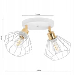 LED griestu lampa Ledlux цена и информация | Потолочные светильники | 220.lv