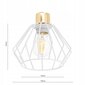 LED griestu lampa Ledlux cena un informācija | Griestu lampas | 220.lv