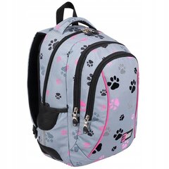 Skolas mugursoma, St.Right Paws BP-26 652974, 20 l, 39x27x17 cm cena un informācija | Skolas somas | 220.lv