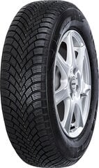 Nexen Winguard Snow G 3 (WH21) 205/55R16 91 T цена и информация | Зимняя резина | 220.lv