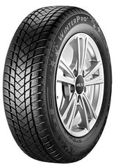 GT Radial WinterPro 2 225/45R17 94 V XL цена и информация | Зимние шины | 220.lv