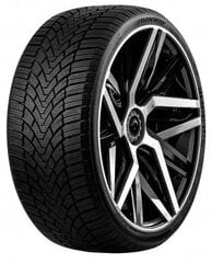 Fronway Icemaster I 225/45R17 94 V XL цена и информация | Зимняя резина | 220.lv