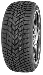 Infinity Ecozen 195/55R16 91 H цена и информация | Зимние шины | 220.lv