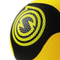 Bumbas Spikeball Pro, 2 gab. cena un informācija | Spēles brīvā dabā | 220.lv