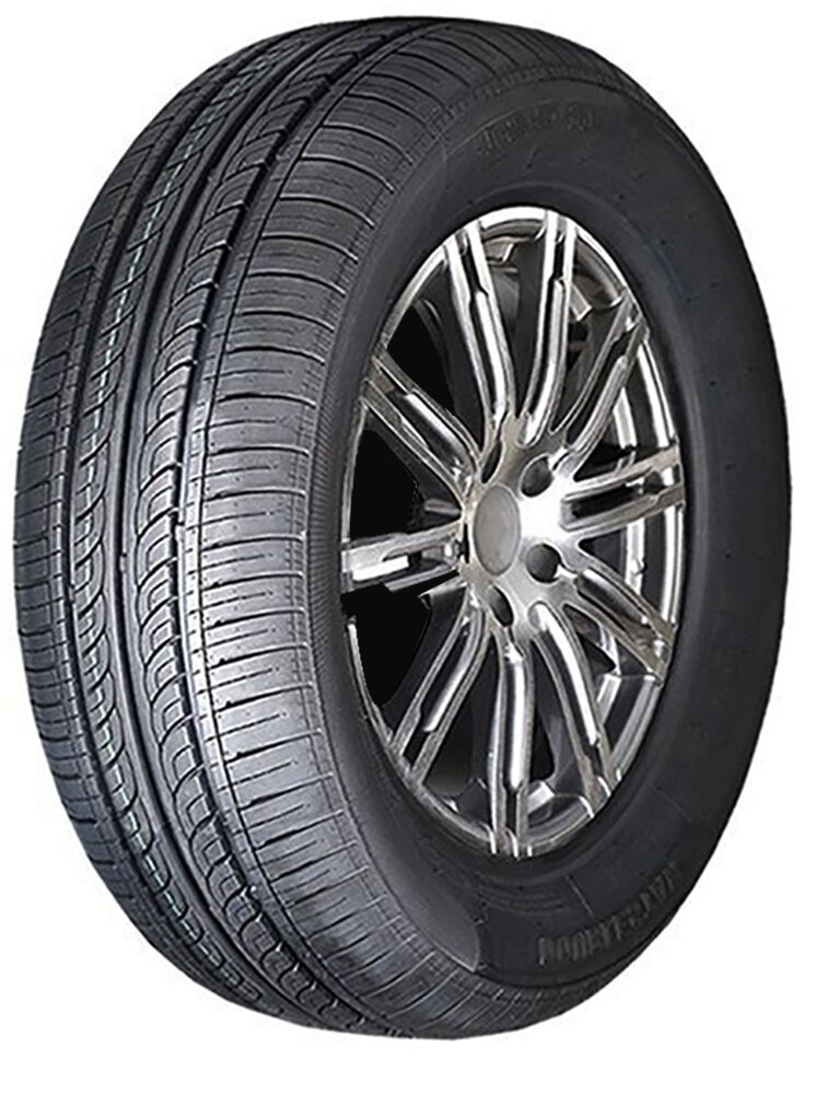 DoubleStar DH05 205/55R16 91 V цена и информация | Vasaras riepas | 220.lv