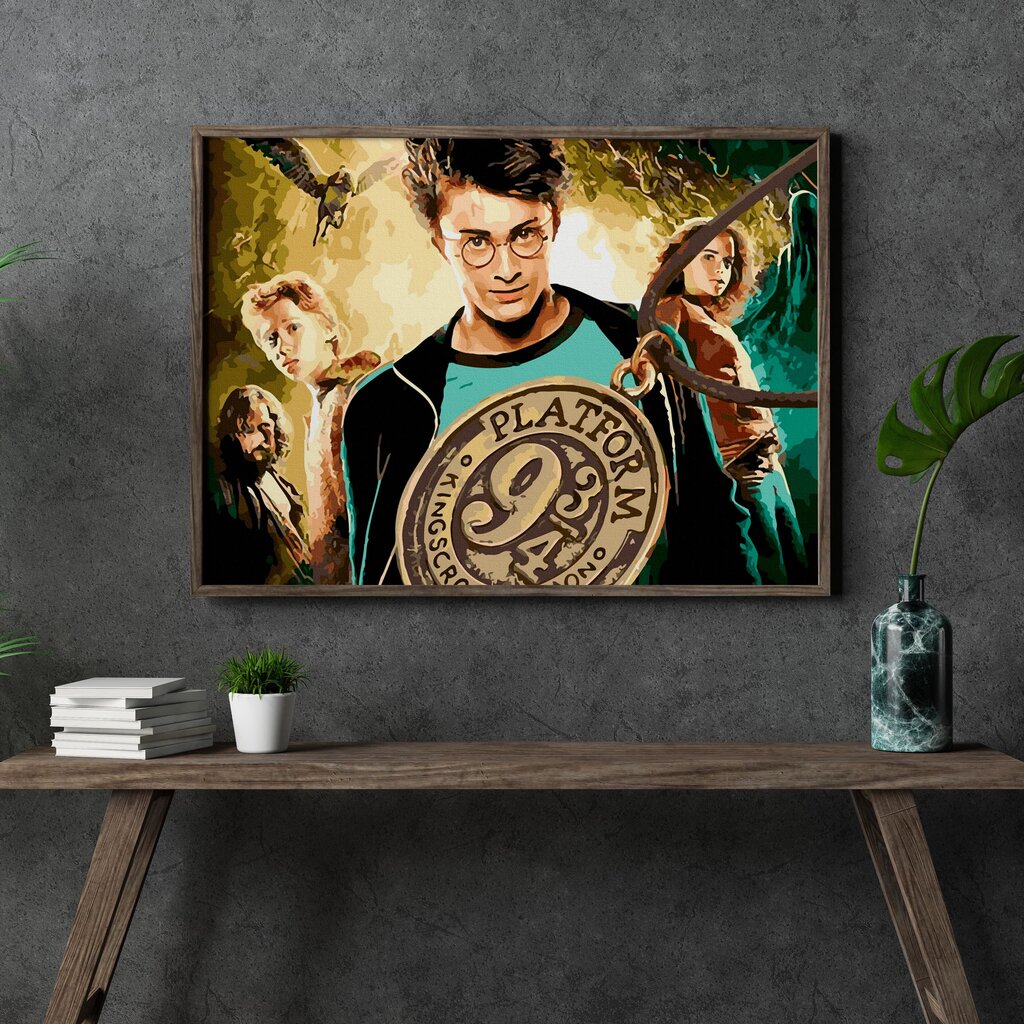 Glezna pēc cipariem Lerāmēta "Harry Potter" Oh Art! 40x50 cm cena un informācija | Gleznas pēc numuriem | 220.lv