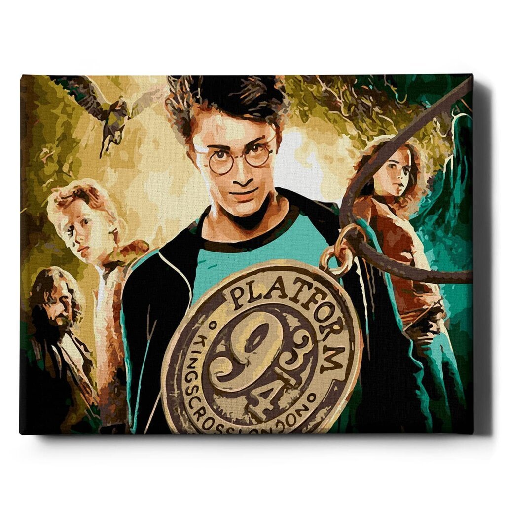 Glezna pēc cipariem Lerāmēta "Harry Potter" Oh Art! 40x50 cm cena un informācija | Gleznas pēc numuriem | 220.lv