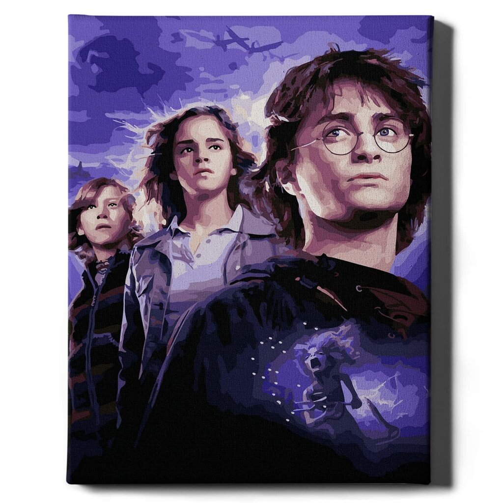 Glezna pēc cipariem Lerāmēta "Harry Potter" Oh Art! 40x50 cm цена и информация | Gleznas pēc numuriem | 220.lv