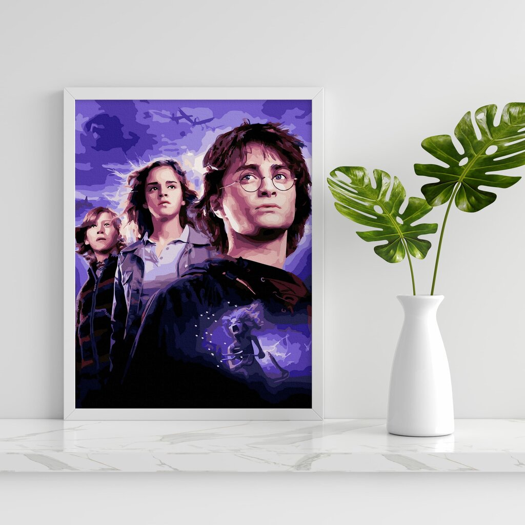 Glezna pēc cipariem Lerāmēta "Harry Potter" Oh Art! 40x50 cm cena un informācija | Gleznas pēc numuriem | 220.lv