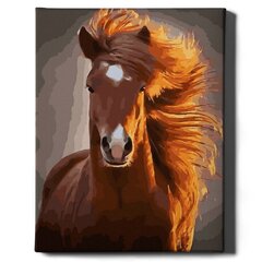 Glezna pēc cipariem Ierāmēta "Zirgs" Oh Art! 40x50 cm цена и информация | Живопись по номерам | 220.lv