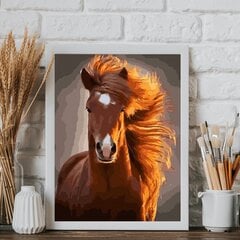 Glezna pēc cipariem Ierāmēta "Zirgs" Oh Art! 40x50 cm cena un informācija | Gleznas pēc numuriem | 220.lv