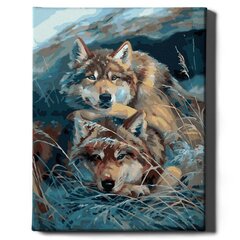 Картина по номерам "Волки в траве" Oh Art! 40 x 50 см цена и информация | Живопись по номерам | 220.lv