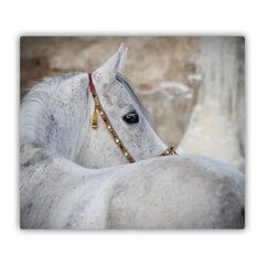Tulup Griešanas dēlis, Arābu zirgs, 60x52 cm cena un informācija | Griešanas dēlīši | 220.lv