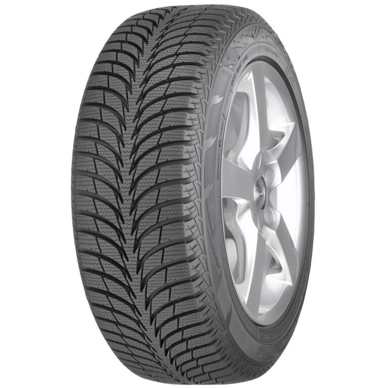 Sava Eskimo Ice 225/50R17 98 T XL FP цена и информация | Ziemas riepas | 220.lv