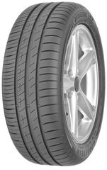 Goodyear EfficientGrip Performance Fi 205/55R16 91 V FI cena un informācija | Vasaras riepas | 220.lv