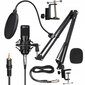 Mikrofons ar Pop filtru un USB kabeli cena un informācija | Mikrofoni | 220.lv
