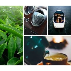 K2 DIAMO GREEN TEA - ароматическая подвеска цена и информация | Освежители воздуха для салона | 220.lv