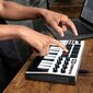 Akai MPK Mini MK3 Control tastatūra Pad kontrolleris MIDI USB Melns, Balts цена и информация | Taustiņinstrumenti | 220.lv