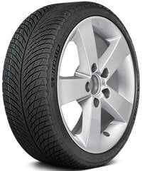 Michelin PILOT ALPIN 5 315/30R21 105 V XL цена и информация | Зимние шины | 220.lv