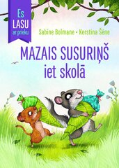 Mazais susuriņš iet skolā. Es lasu ar prieku cena un informācija | Pasakas | 220.lv