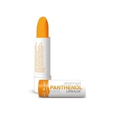 ALTERMED PANTHENOL FORTE lūpu balzams, SPF15, 5 ml цена и информация | Помады, бальзамы, блеск для губ | 220.lv