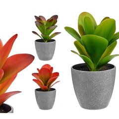 Декоративное растение Пластик (11 x 20 x 11 cm) цена и информация | Детали интерьера | 220.lv