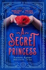 Secret Princess цена и информация | Книги для подростков и молодежи | 220.lv