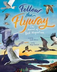 Follow the Flyway: The Marvel of Bird Migration cena un informācija | Grāmatas pusaudžiem un jauniešiem | 220.lv