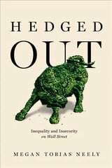 Hedged Out: Inequality and Insecurity on Wall Street cena un informācija | Ekonomikas grāmatas | 220.lv