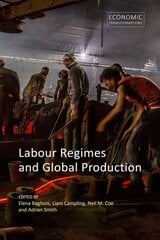 Labour Regimes and Global Production цена и информация | Книги по экономике | 220.lv