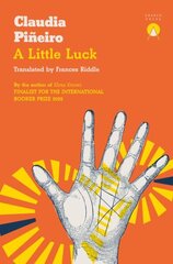 Little Luck cena un informācija | Fantāzija, fantastikas grāmatas | 220.lv