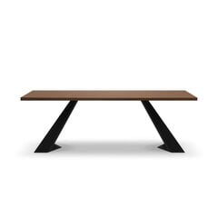 Обеденный стол Colin, 180x100x75 см, темно-коричневый цена и информация | Кухонные и обеденные столы | 220.lv