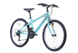 Sieviešu velosipēds 24'' Torino, zils цена и информация | Велосипеды | 220.lv
